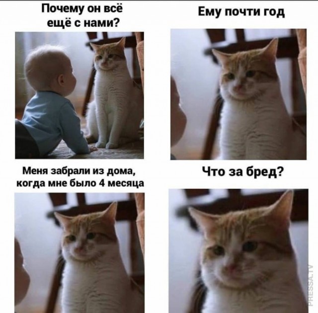 Картинки и мемы для настроения 008