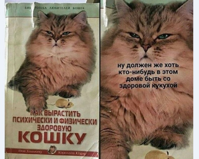 С наступающим! Картинки и мемы для настроения 031