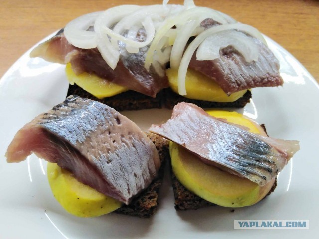 Посиделки под селёдку