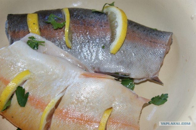 Все из рыбы!