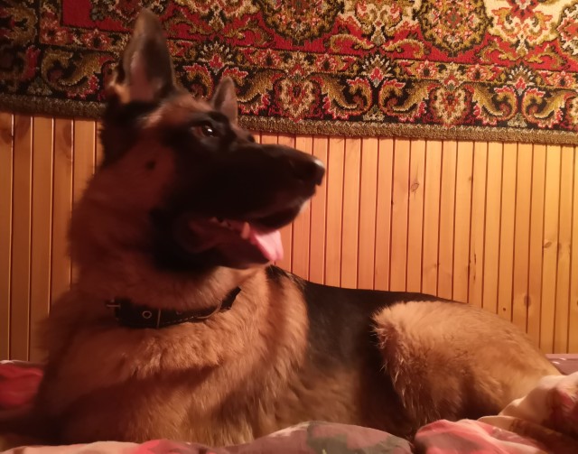 Когда то я была меньше кота, а теперь мы друзья