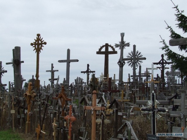 Гора Крестов
