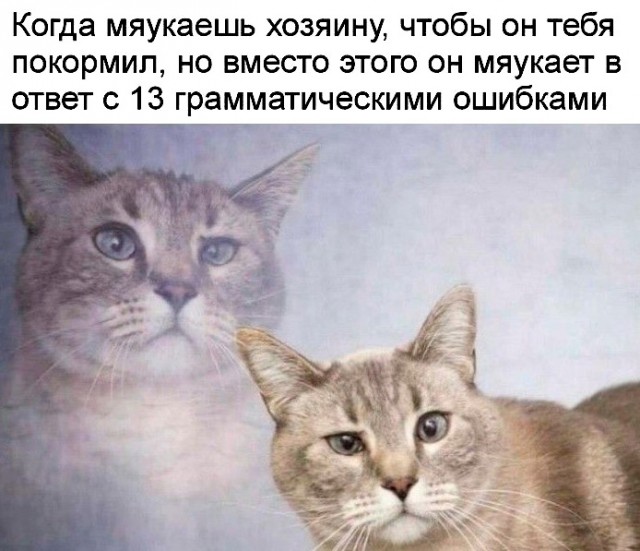 Так себе картинки 10.03.22