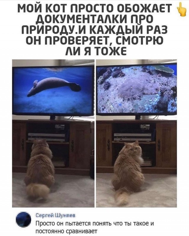 Чутка картинок Вам под выходные и для настроения! Смешные, пошлые и другие