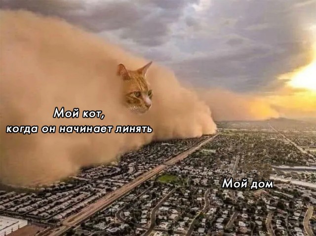 Немного картинок и прочей хреноты Vol. 10