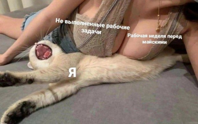 Картинки и мемы, начало праздников