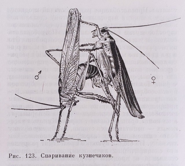 Так себе картинки 06.06.22