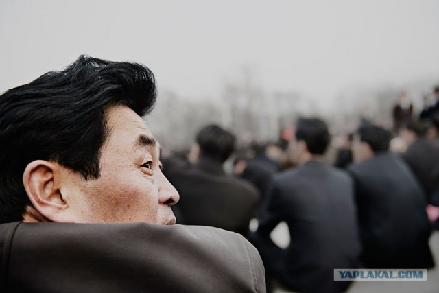 Северная Корея "в цвете"