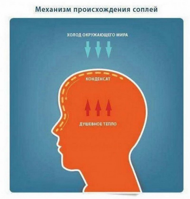 Картинки и мемы для настроения - 27