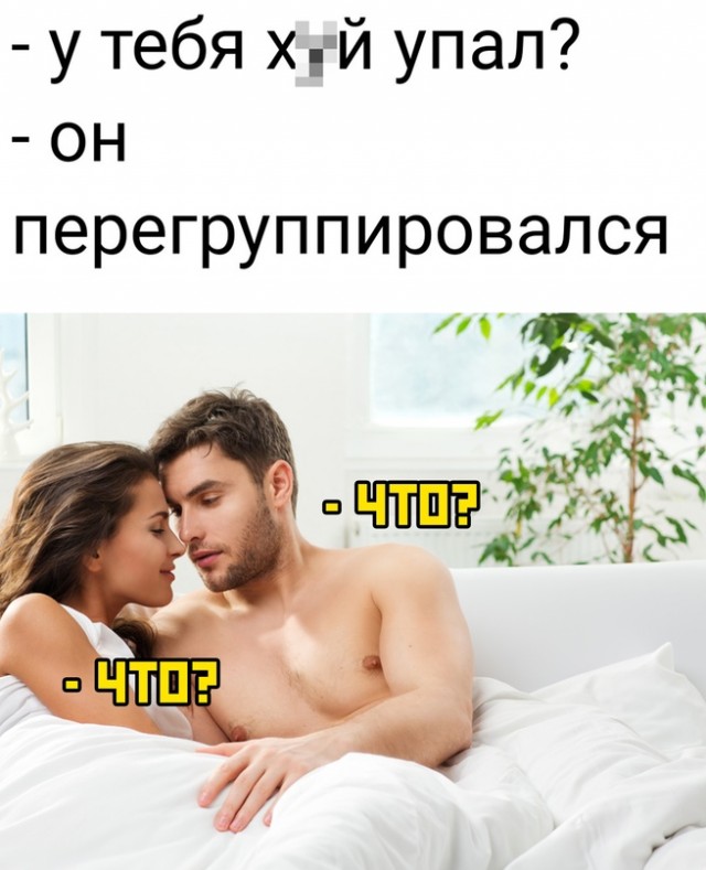 Весёлый полтишок 16.09.22
