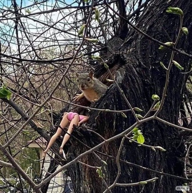 Иди куда шёл. Тебя это не касается