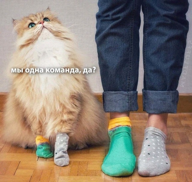 Немного картинок для настроения - 151
