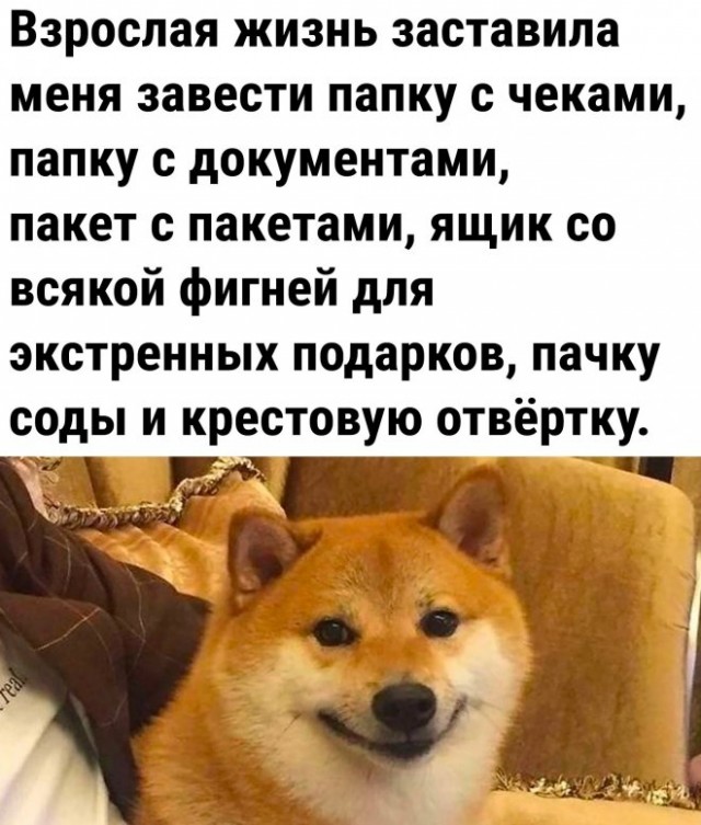 Немного картинок для настроения - 151