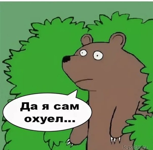 Жизнь типичной РСП за 4 минуты