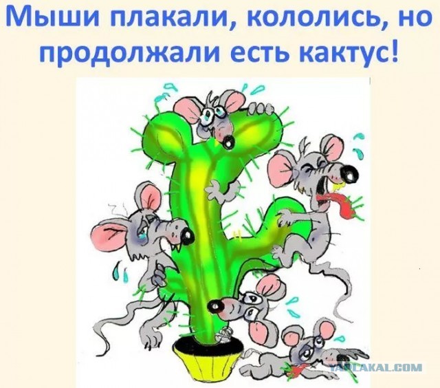 Wildberries пробил дно окончательно