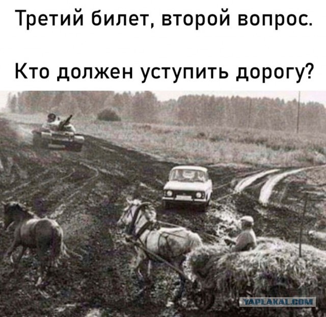 Картинки и мемы, всяко разно - 179