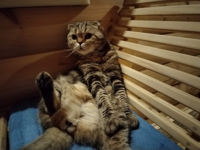 Самая последняя в галерее