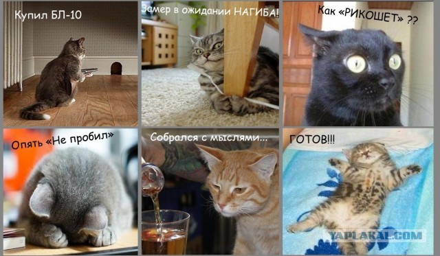 Wargaming 5