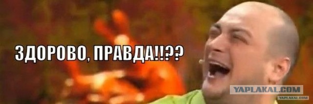 В Оренбургской области отклонили почти 70 000 заявлений на выплаты
