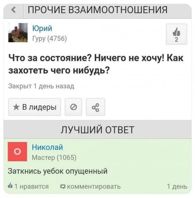 Всего понемногу. От 16.05.2024