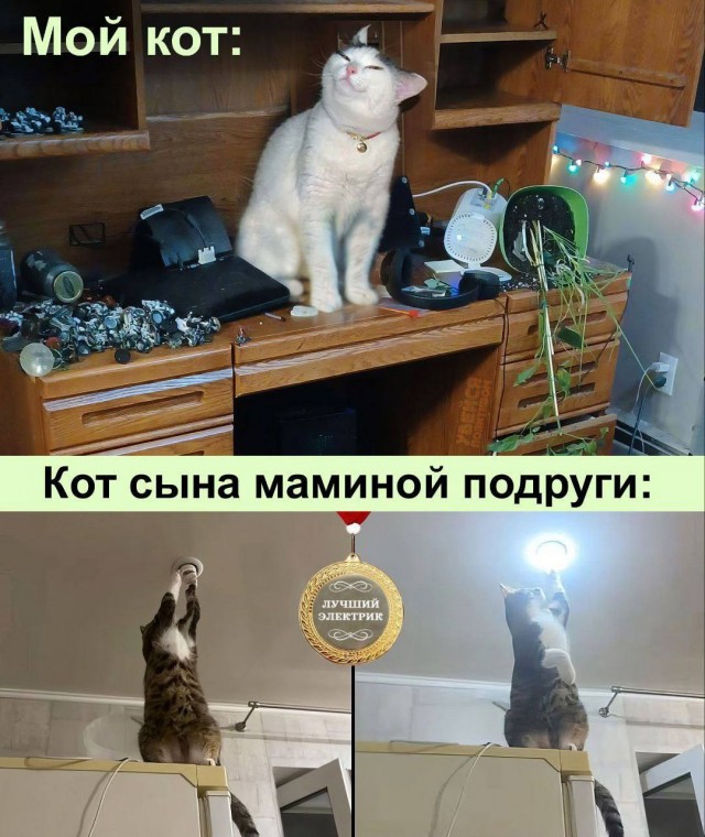 Немного наркомании и шизофрении в ленту