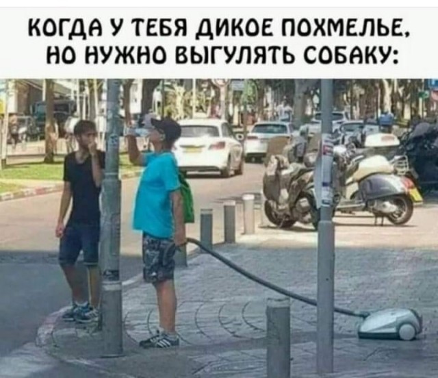 Весёлый полтишок 22.07 24
