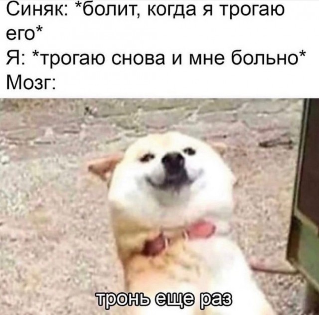 20 забавных  картинок