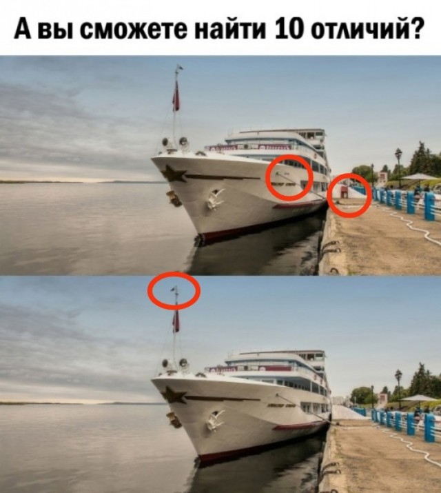 Так себе картинки 16.01.25