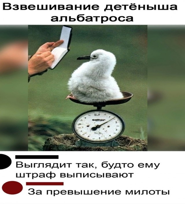 Так себе картинки 30.01.25