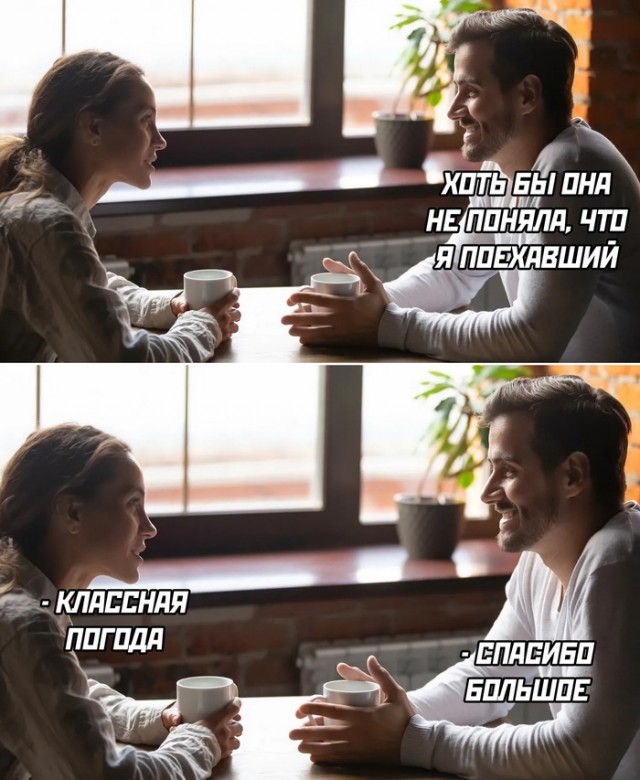 Последние забавные картинки перед любимым понедельником