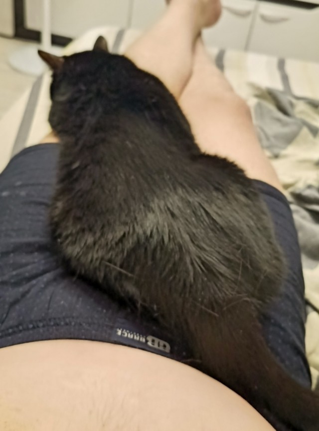 Чёрная зараза)))