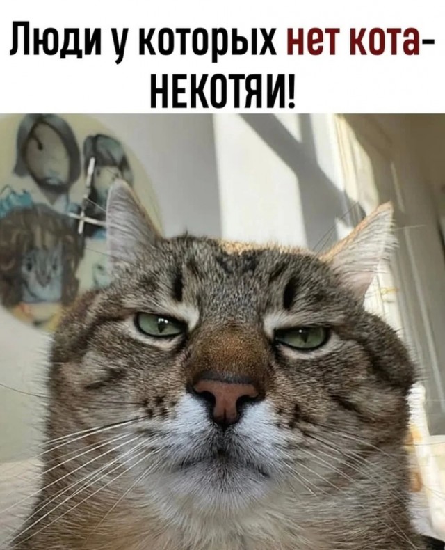 Подборка мемчиков за пол дня