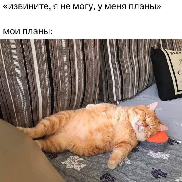 Веселое настроение в картинках (07.08.2025)