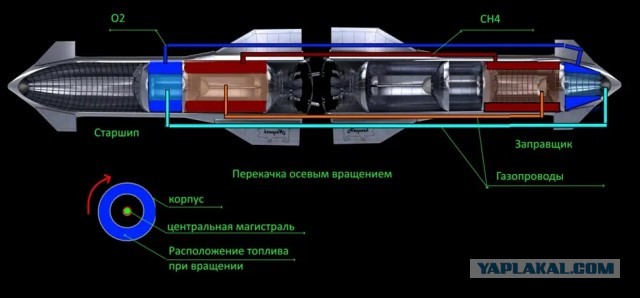 Starship HLS будет в 135 раз больше, чем «Аполлон»