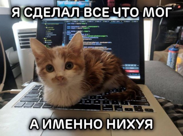 Небаянистая деградация 2