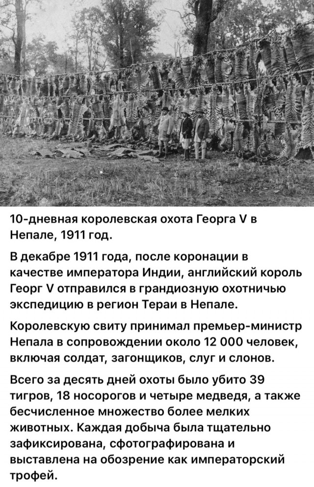 Редкие кадры и архивные снимки 26.11.25