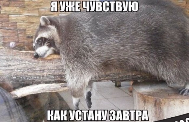 Воскресные картинки