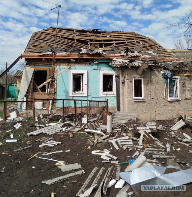 Путин виноват