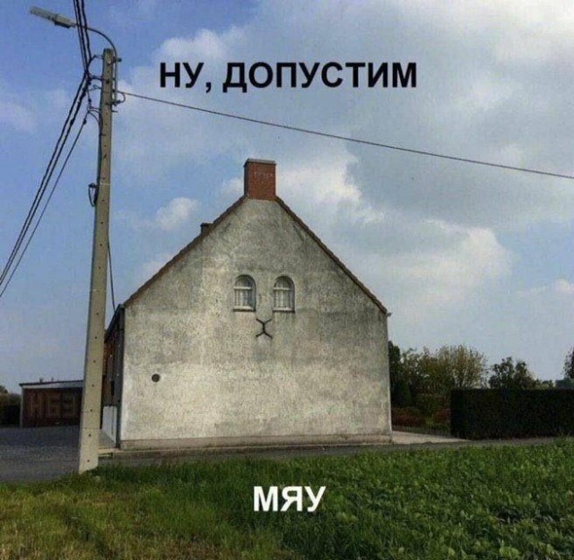 Картинки для деградации 147 (разной степени свежести)