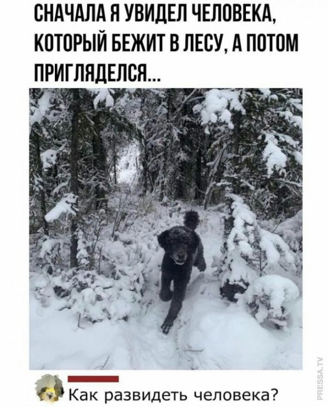 Веселые картинки в маленькую пятницу (11.03)