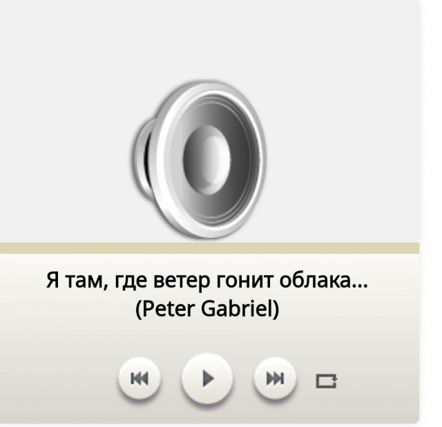 Дегустатор безумия. Лента стихотворений