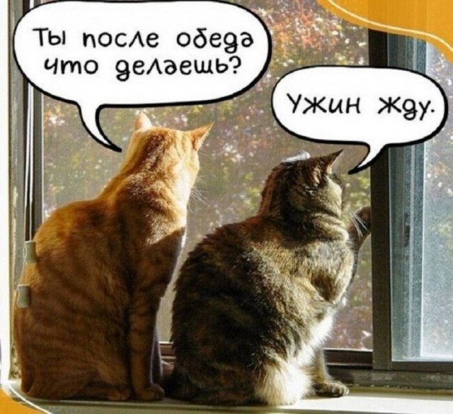Картинки для деградации 173 (разной степени свежести)