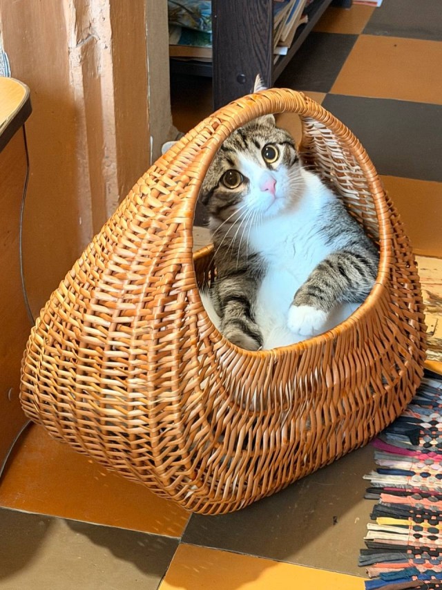 Праздничная корзинка.