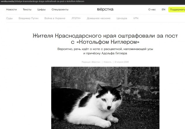 Россиянина оштрафовали за фотографию кота в образе Гитлера