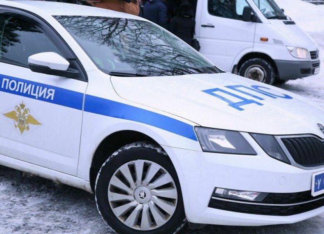 Могут ли посадить в тюрьму если случайно ночью сбил кабана и прокрутил тело через мясорубку, он умер сразу