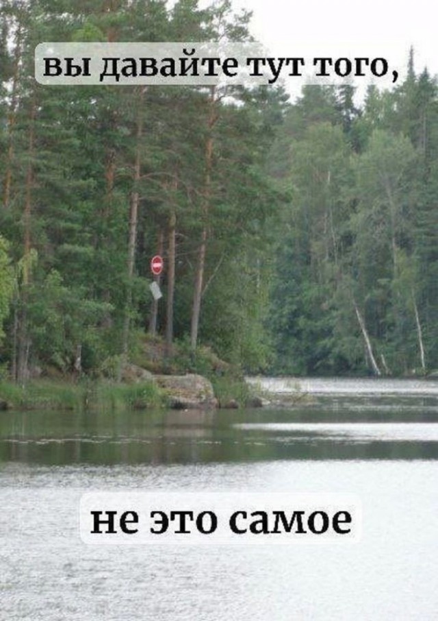 Картинки для деградации 251 (разной степени свежести)