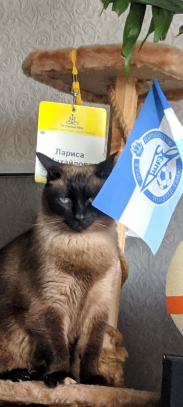 Пополнение
