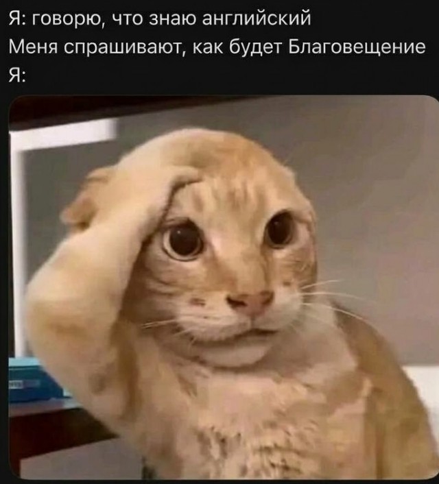 Так себе картинки 09.10.26