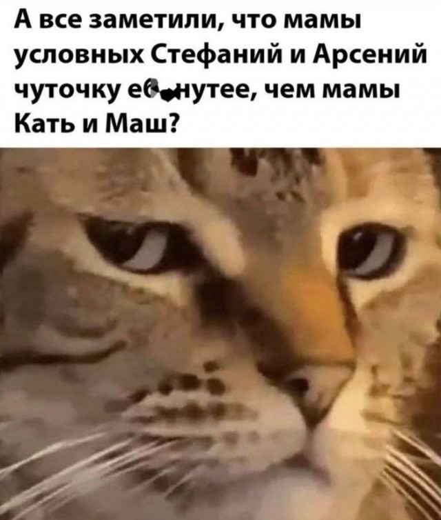 Картинки для деградации 303 (разной степени свежести)