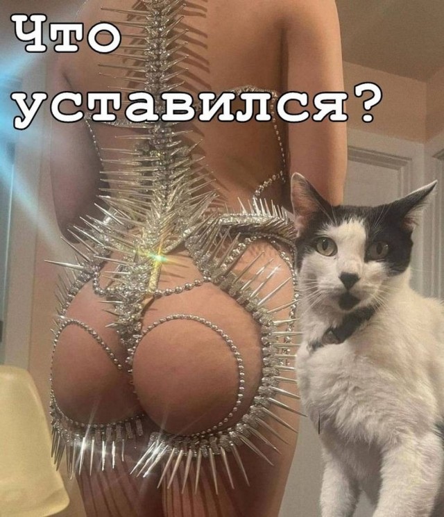 Картинки на среду